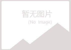 铁山港区凌乱采矿有限公司